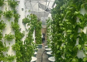 Optimize your hydroponic setup with CropKing Inc's full line of NFT ...