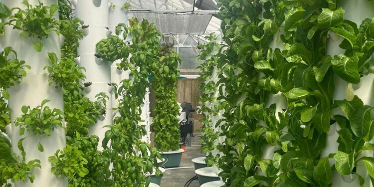 Optimize your hydroponic setup with CropKing Inc's full line of NFT ...