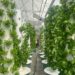 Optimize your hydroponic setup with CropKing Inc's full line of NFT ...