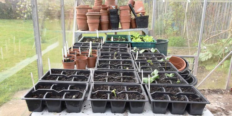 11 Essential Greenhouse Supplies to Get Started