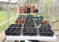 11 Essential Greenhouse Supplies to Get Started