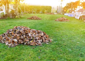Spring Yard Clean up Checklist - Making Manzanita