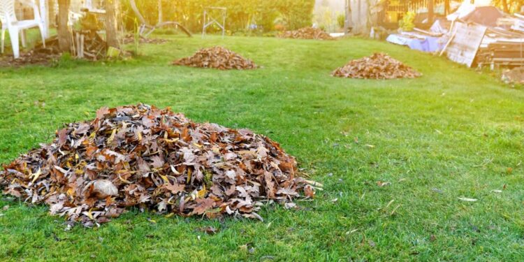 Spring Yard Clean up Checklist - Making Manzanita