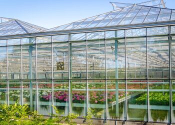 Home - Hummert International