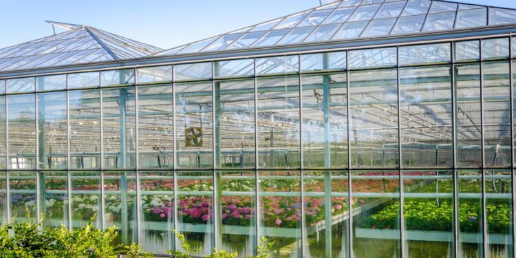 Home - Hummert International